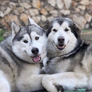 Meet your Posher, Eileen